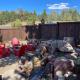 Estes Mountain Inn