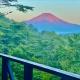 Mount Fuji Castle 2, Яманакако