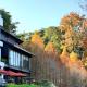 The Pines, Xinshe (foto 10)