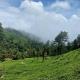 Haritha Homestay Munnar, 蒙纳 - 照片 10