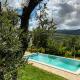 Quinta OUTONO DOURADO, Montalegre (Foto 9)