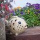 The Moorings B&B, Duncannon - Fotografie 5