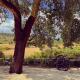 Quinta da Corga, Prova (fotografie 4)