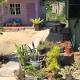 Homestay d SOFIA, Kuala Terengganu (foto 4)
