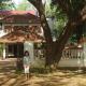 KTDC Tamarind, Nilambur, Nilambūr - Fotografie 4