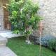Il Poggio da Leo, Capanne (foto 3)
