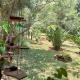 The Cottage-Place of Grace 2Bdrm and loft bed all 4U at USD58, Nairobi - Photo 7