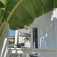 B2 APARTMENT with Balcony at JAN THIEL Curacao - Fotografie 7