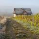 Utopia Dom przy winnicy, Nowica (fotografie 6)