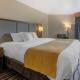 Comfort Inn & Suites Market - Airport, Great Falls (foto 5)