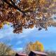 La 3 stejari, Călimănești, Sălătrucel - 写真 2