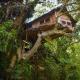 Kumbuk Tree House, Tissamaharama - Fotografie 2