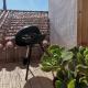 Algarve house, sun, terrace, views and barbecue, Silves - Fotografie 8