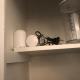 chez morgan, Cransac (Foto 3)
