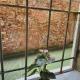 Hayez Rooms, Venice (photo 4)