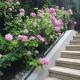 Exquisites Gartenapartment in eleganter Jugendstilvilla, Vienne - Photo 6