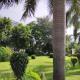 Radisson Hotel Sector 29 Gurugram, Gurgaon - Foto 4