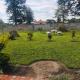 Lynm Residence Villas, Harare (fotografie 6)