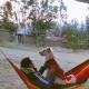Tony's House Eco Hostel, Huaraz - Fotografie 8