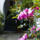 Back to Sorrento, Sant'Agnello (fotografie 7)