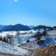 Pensiunea Pui de Urs Sirnea, フンダタ - 写真 7