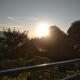 Tridevi Home Stay, Mirik - 照片 9