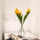 Cosy Studios in the Heart of the City, Budapest - Foto 8