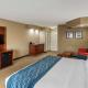 Comfort Inn & Suites Jackson - West Bend, Jackson (fotografie 7)