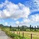 獨棟山水心旅棧 Kenting-Nationalpark - Foto 10