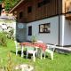 Apartment Corona by Interhome, Ramsau am Dachstein (photo 7)