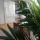 L'APPART'MARCEL*T1bis*FIBRE*PARKING*CHEK-IN*24/24, Blagnac (fotografie 7)