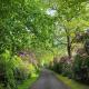 The West Highland Way Hotel and Retreat Accommodation, Glasgow (fotografie 3)