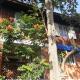 Casa da Lagoa, Florianópolis - Foto 2