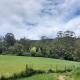 Bellingen Guest Suite with Forest Views, Brierfield (foto 3)