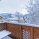 Schmitten & cityXpress Apartment 1 and 2 Zell am See - Fotografie 4