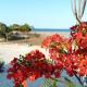 Villa Nature, Toliara