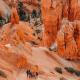 Wander Camp Bryce Canyon - Escalante, Cannonville (fotografie 8)
