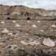 Wander Camp Bryce Canyon - Escalante, Cannonville (fotografie 9)