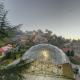 Tarika Resort & Spa , Chail, Chail - Foto 8
