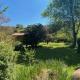Jardín del Río, Arenas de San Pedro (foto 3)