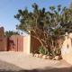 L’oasis de kima, Taroudant (photo 9)