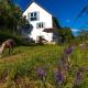 Freistehendes Ferienhaus mit Kamin, Sauna, atemberaubenden Blick ins Tal, mehrere Terrassen, 1500qm Grundstück 1,6m hoch eingezäunt, Gerabronn - 写真 1