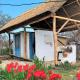 Traditional House in Danube Delta, ジュリロヴカ - 写真 8