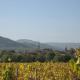 Chambre d'hôtes La Forestière, Le Hohwald - Foto 9