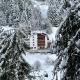 Hotel Buckelhof - See - Free Liftpass Summer