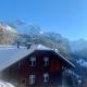 Chalet Aargovia, Wengen - Fotografie 1