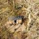 Bluebell shepherds Hut, Rolvenden (fotografie 9)