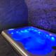 jaccuzi & spa des caves Stanislas Nancy - Photo 8