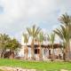 Palmhouses, Afiartis