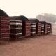 Walid Bedouin Camp, Wadi Rum (fotografie 5)